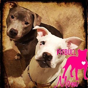 Meet your Posher, Adrienne